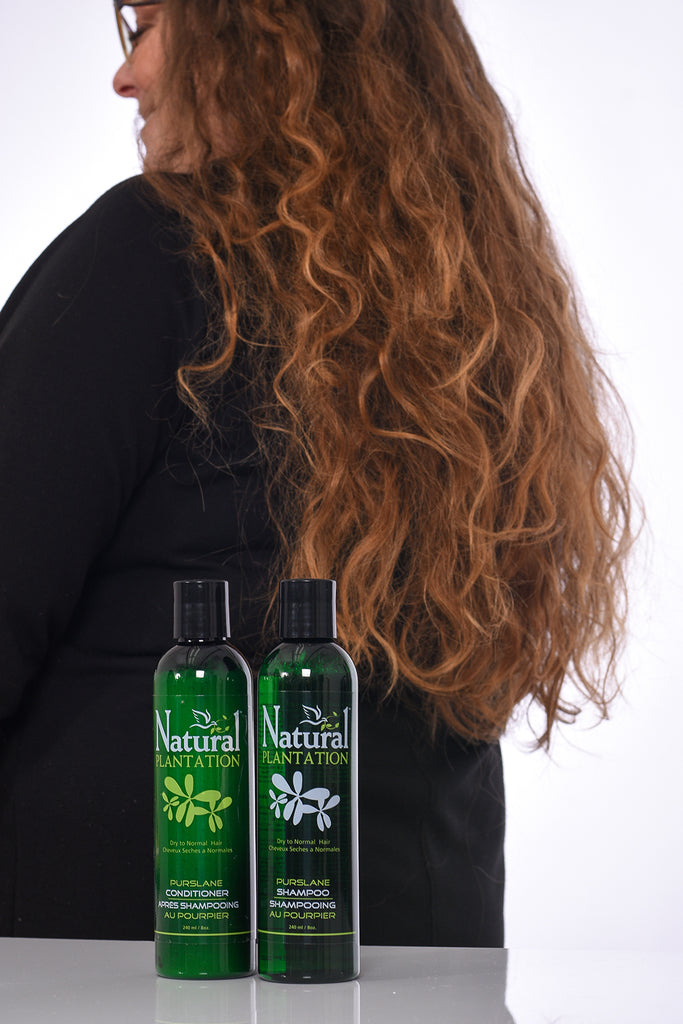 Purslane Shampoo is easily absorbed into the hair to provide a deep nourishment for soft, healthy and manageable hair.