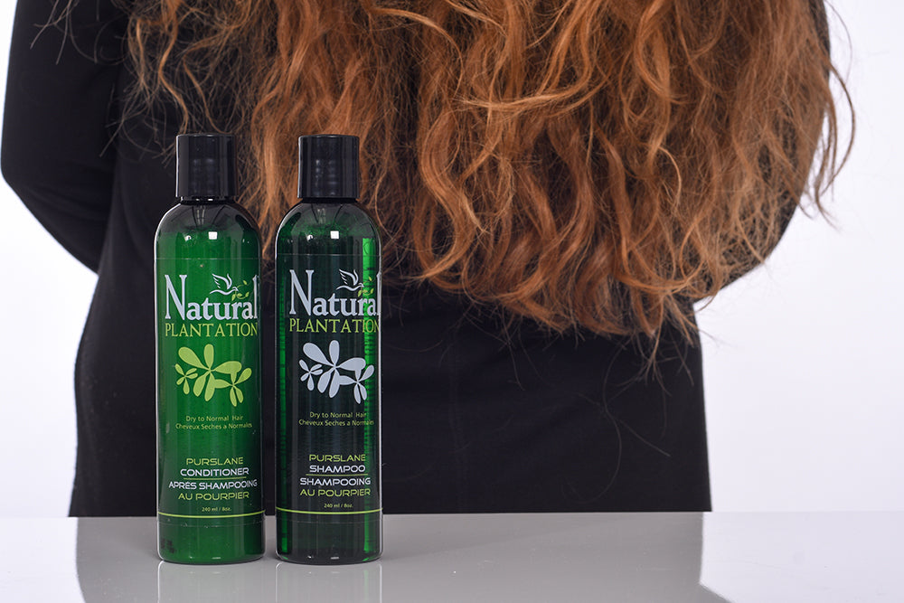 For a naturally silky manageable and healthy hair experience, try the “Natural” luxury of Purslane Conditioner.