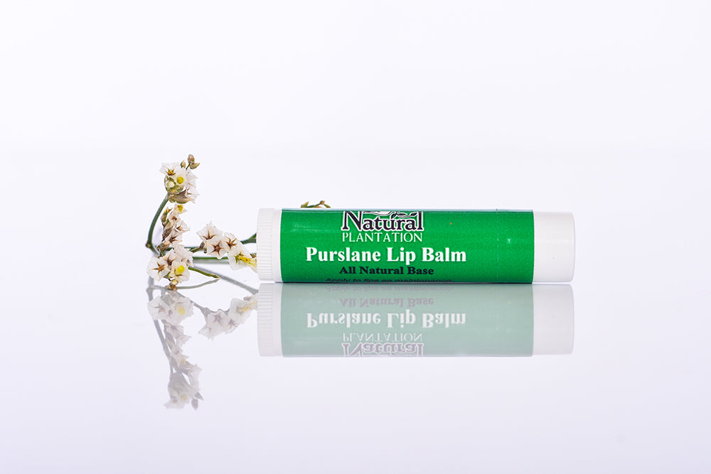 Purslane Lip Balm is an all natural and fragrance free lip balm…for soft, smooth and moisturized lips you will not find a better product on the market.