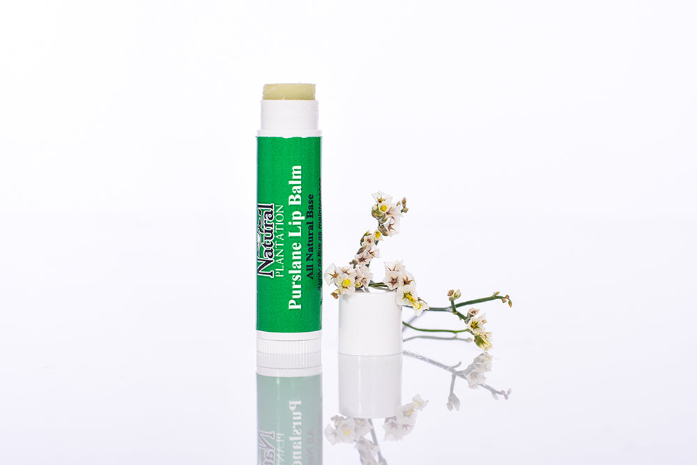 Purslane Lip Balm is an all natural and fragrance free lip balm…for soft, smooth and moisturized lips you will not find a better product on the market.