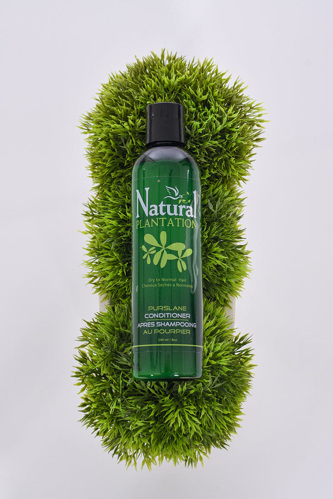 For a naturally silky manageable and healthy hair experience, try the “Natural” luxury of Purslane Conditioner.