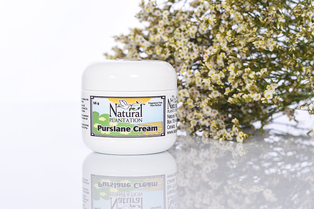  Purslane Cream is a very high quality all purpose cream with natural preservatives that leave your skin feeling soft and smooth.
