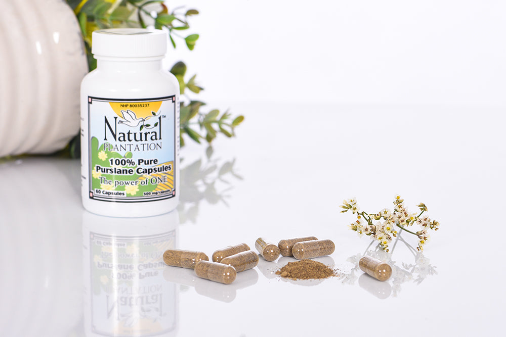 Natural Plantation uses the finest quality lab tested pure Purslane Powder in the world. Each capsule contains 500 mg of pure concentrated Purslane Powder, with NO artificial colors, preservatives, flavors or fillers added.