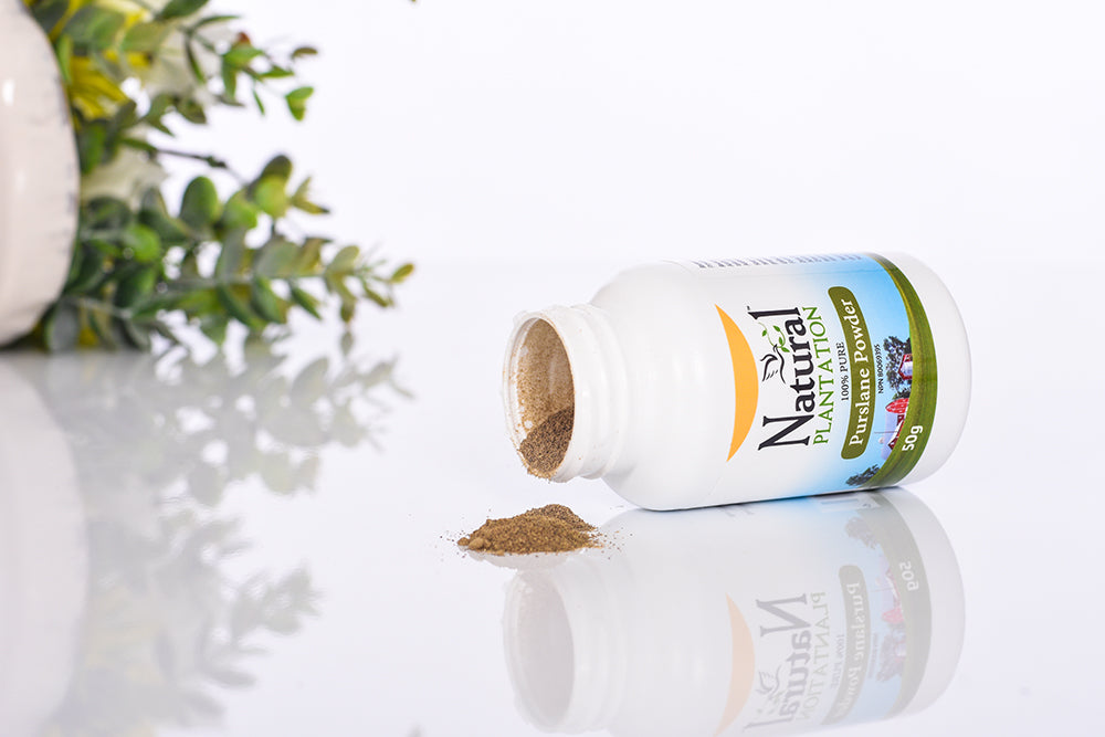 Natural Plantation uses the finest quality lab tested pure Purslane Powder in the world. Each bottle contains 50 mg of pure concentrated Purslane Powder, with NO artificial colors, preservatives, flavors or fillers added.