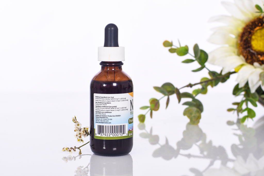Purslane Tincture is a highly concentrated food supplement blend. Our patented process conserves the natural occurring nutrients of Purslane.